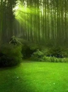 ​谈谈新中国的巨大变化的一点认知