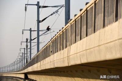 ​重磅！这条高铁直接走扬州，直达上海