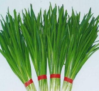 ​韭菜籽泡水喝有什么功效(韭菜籽泡水喝的功效是什么)