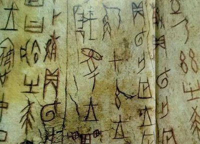 ​甲骨文的拼音怎么写(甲骨文的拼音怎么写的)