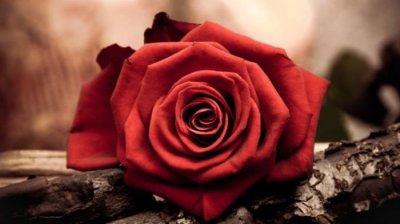 ​男女之间的知己是指什么关系，最好的关系是成为知己