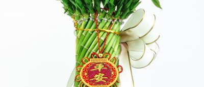 ​富贵竹怎么养