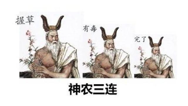 好搞笑的“三连表情包”呀，笑死个人的！