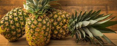 ​菠萝和西瓜能不能一起吃 西瓜与菠萝能一起吃吗