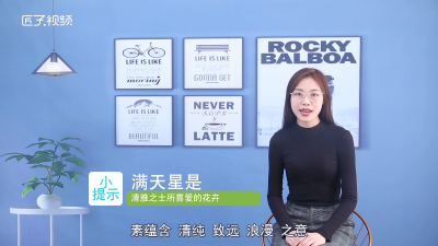 ​满天星冬季会死吗