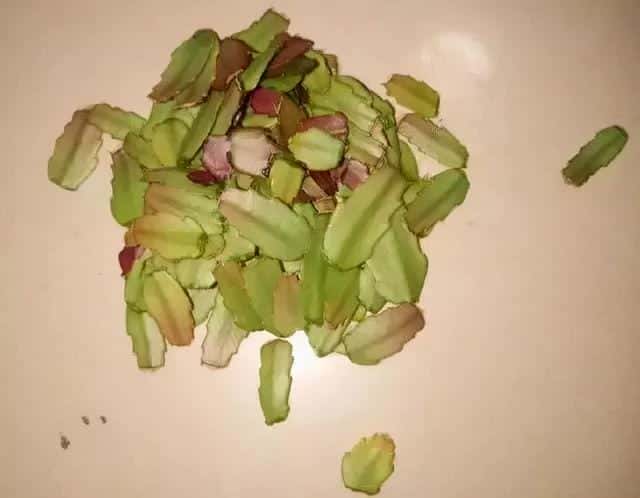 爬藤花架安装视频（附螺旋式球兰花架制作）