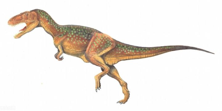 什么恐龙最厉害（史上最强食肉恐龙排行榜）