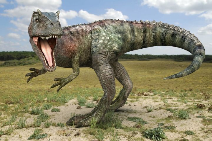 什么恐龙最厉害（史上最强食肉恐龙排行榜）