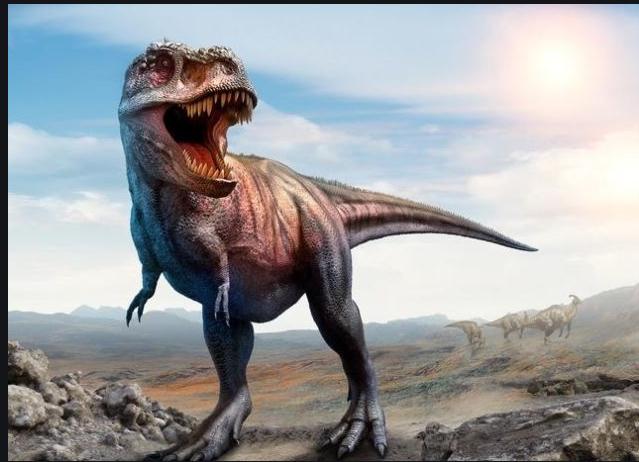 什么恐龙最厉害（史上最强食肉恐龙排行榜）