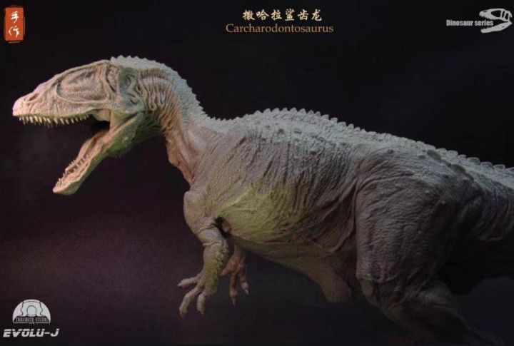 什么恐龙最厉害（史上最强食肉恐龙排行榜）