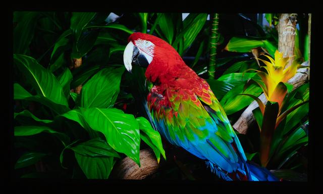 小米和峰米投影（峰米投影仪Smart全面测评）(19)