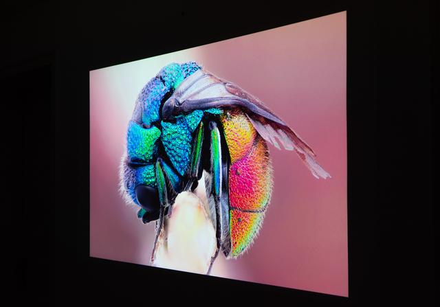 小米和峰米投影（峰米投影仪Smart全面测评）(26)