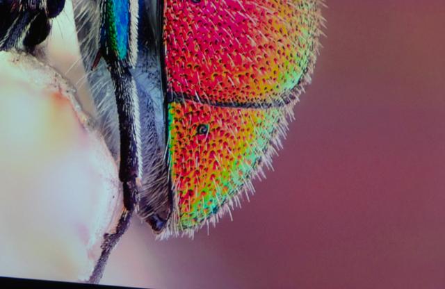 小米和峰米投影（峰米投影仪Smart全面测评）(27)