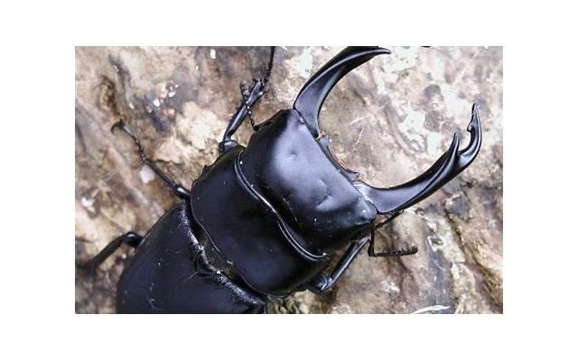  圣诞节创意礼物，有创意的圣诞节礼物