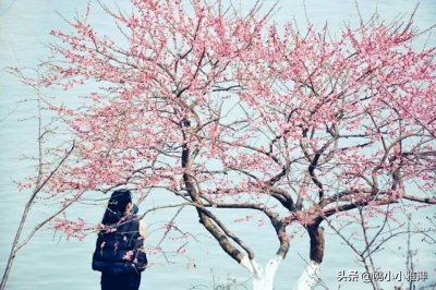 ​暮春道别时，何处寄相思