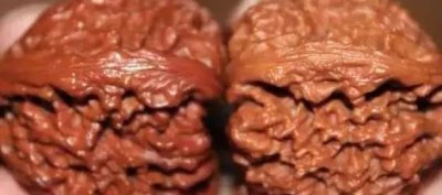 ​文玩核桃在3年之内，为什么不能让别人上手？