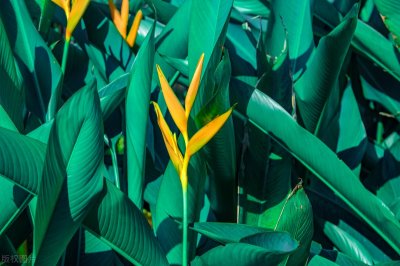 ​对小人最狠的报复，不是动粗，而是在这3个地方，下狠手