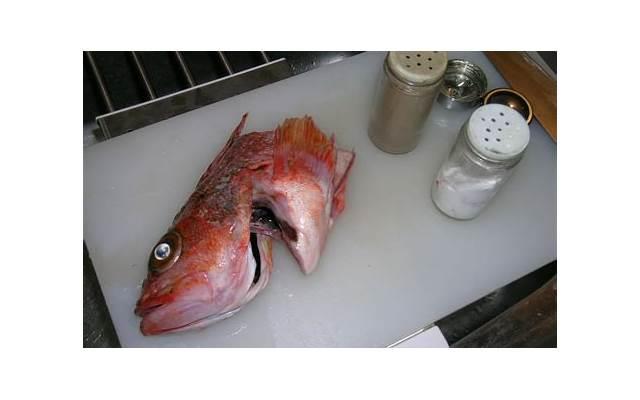 起诉离婚去哪里起诉? 起诉离婚去哪里起诉?