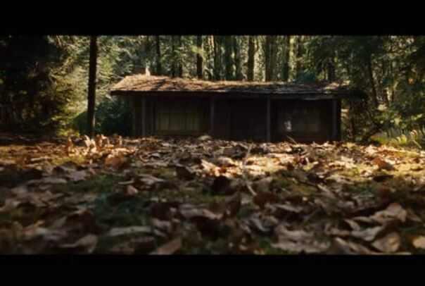 影视世界十大丧尸电影排行榜,《生化危机》夺魁首 8