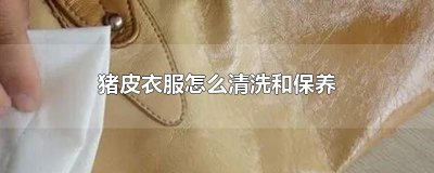 猪皮衣服怎么清洗和保养