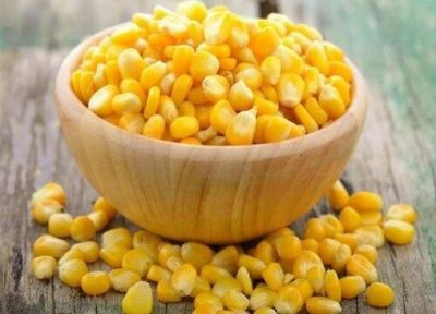 ​商道909玉米品种介绍