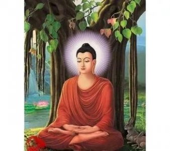 ​仙和佛的区别是什么(南怀瑾说佛教佛学佛法区别)