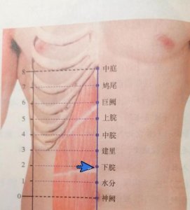 ​胃下面是什么部位(胃下面是什么部位图解)