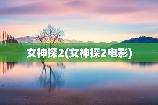 女神探2(女神探2电影)