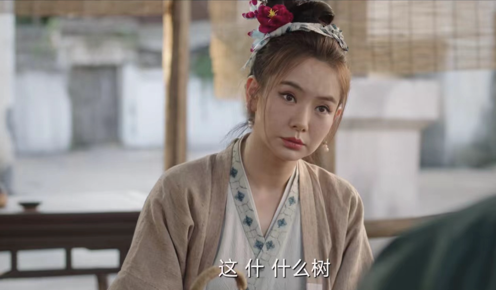 显微镜里的大明：张若昀王阳再续“兄弟缘”，暗戳戳地好嗑