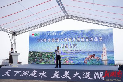 ​大通湖大闸蟹开捕喜获丰收，味道和品质更胜往年