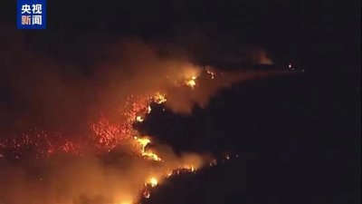 ​加州山火为何失控？深度解析火势猛增背后的真相！