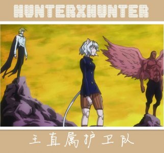 ​全职猎人：嵌合蚁3类不同形态，多生物体任意混搭