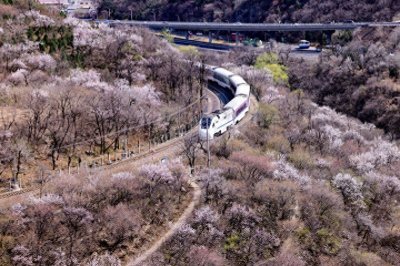 ​“长城号”焕新颜 开往春天的列车浪漫上线