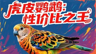 ​新手养鹦鹉指南：这些品种最适合入门