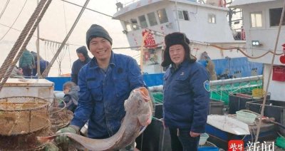 ​江苏灌云渔民捕获20斤巨型米鱼！这消息一出，整个渔村都沸腾了！