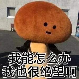 ​申请太多贷款，大数据花了多久能恢复？