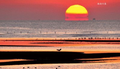 ​国家海洋博物馆，“海洋上的故宫”