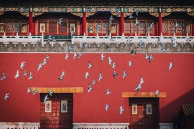 ​小学生必知的中国地图和主要的省份，来一起了解中国！