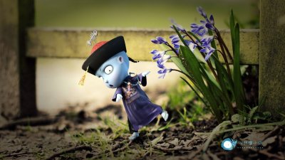 ​电脑壁纸｜僵小鱼可爱卡通桌面壁纸