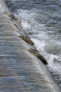 ​（新华全媒+）直击青海湖湟鱼洄游高峰