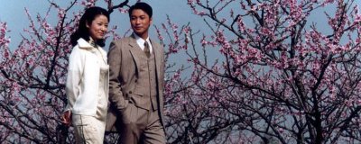 ​半生缘结局是什么意思