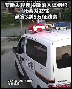 ​安徽阜南发生碎尸命案，凶手手段让人想起南大碎尸案！