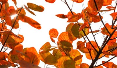 ​河南青龙峡：大自然的神奇画卷