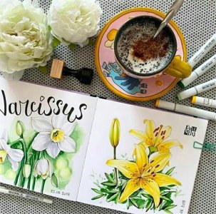 ​手绘｜20张马克笔手绘作品，每张都是学习的好素材