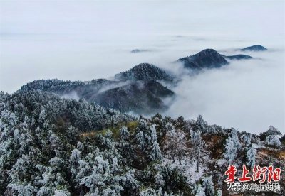 ​衡阳南岳绝美雾凇来袭！附多图+视频
