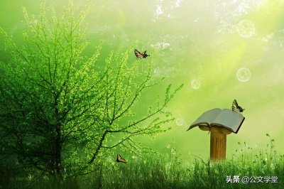 ​一眼惊艳的神仙标题，都是宝藏素材