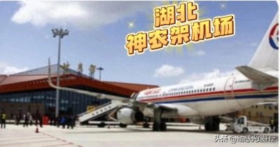 ​湖北文旅，‘野人’推广神农架旅游资源。创意绝了