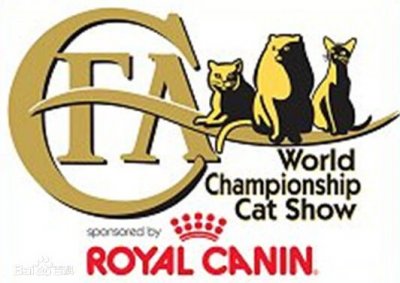 ​最全猫咪分类，小型猫和大型猫品种介绍及图片展示