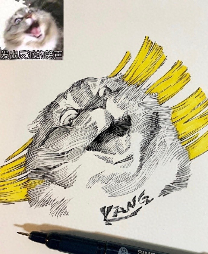 黑白 | 把搞怪表情包画成线条画，这波创意太可了吧