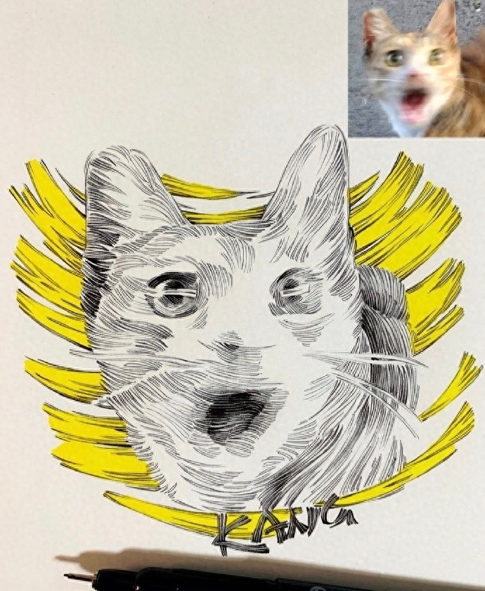 黑白 | 把搞怪表情包画成线条画，这波创意太可了吧